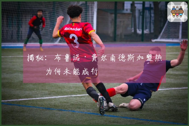 揭秘：布鲁诺·费尔南德斯加盟热刺为何未能成行